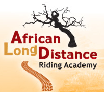Rider training